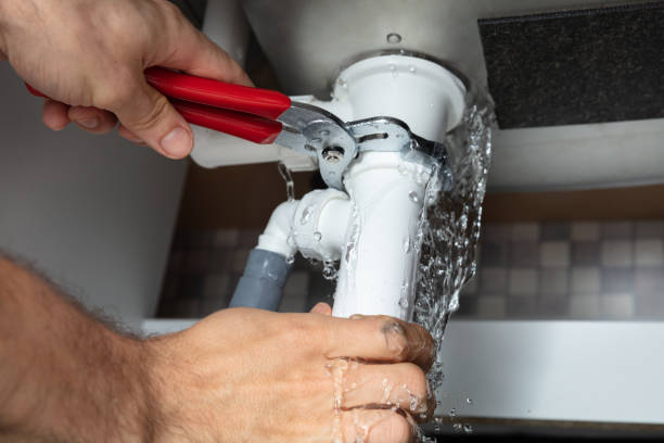 Best Flood restoration services  in Burnsville, MN