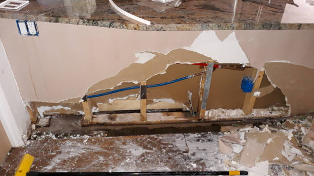 Best Water damage restoration near me  in Burnsville, MN