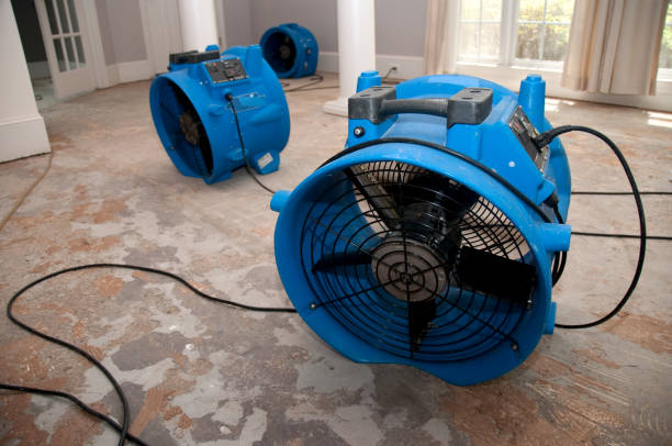 Best 24-hour water damage restoration  in Burnsville, MN