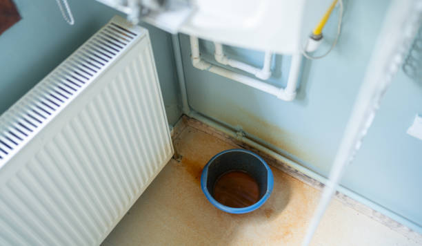 Best Ceiling water damage repair  in Burnsville, MN